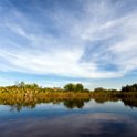 BWA NW OkavangoDelta 2016DEC02 Nguma 002 : 2016, 2016 - African Adventures, Africa, Botswana, Date, December, Month, Ngamiland, Nguma, Northwest, Okavango Delta, Places, Southern, Trips, Year